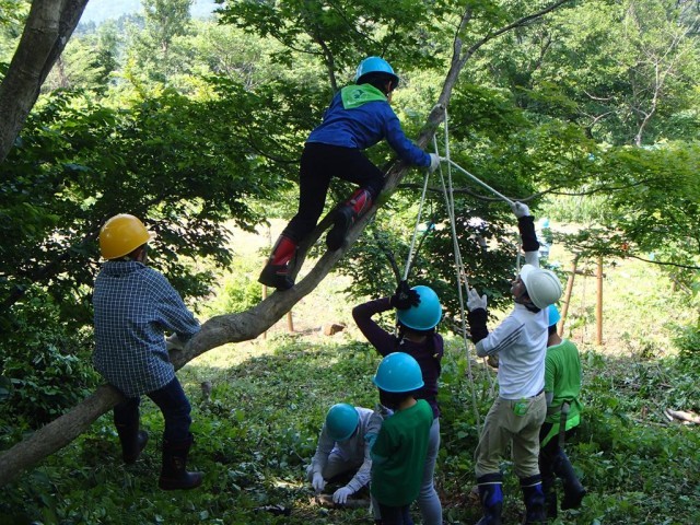 150613 緑の少年団033